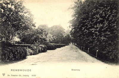 17949 Gezicht in de Dorpsstraat te Renswoude.